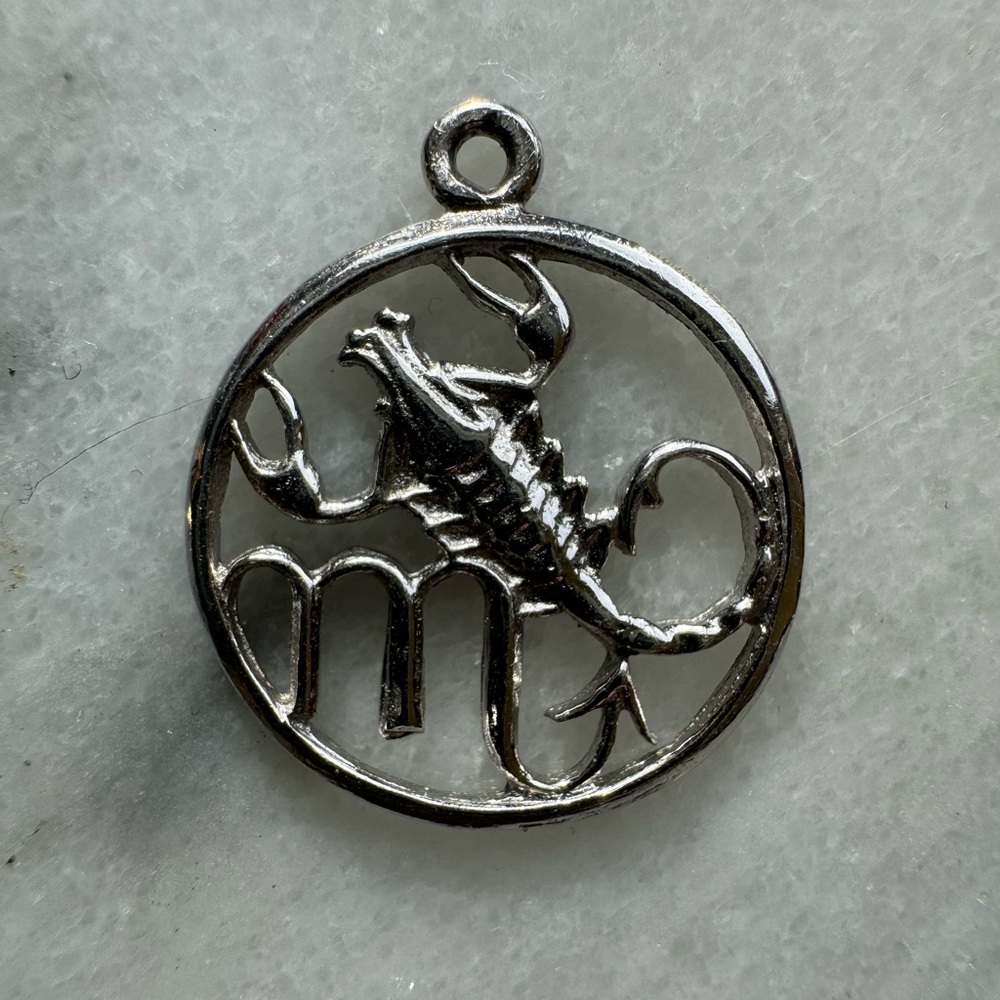 Silver Reptile Charm Pendant